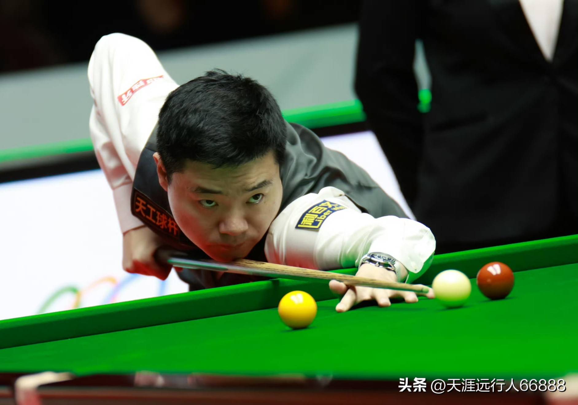 能会为了保 能会为了保